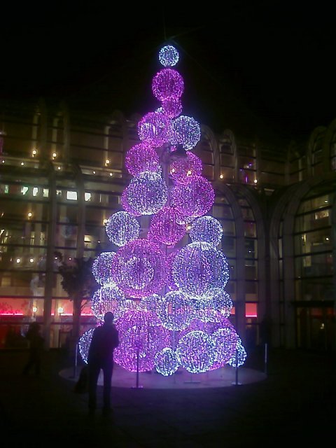 2008-12-23 Pour priscilla_l.jpg